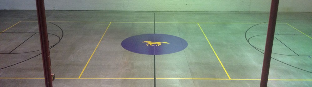 Basketball Court