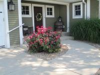 Residential Porch & Sidewalk